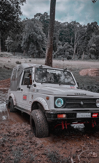 逆转惊魂！国王惨遭翻盘，西部排名告急.