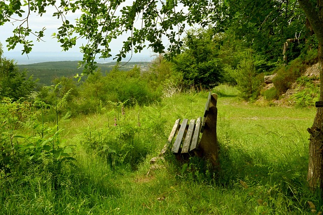 从现实来看 从现实来看