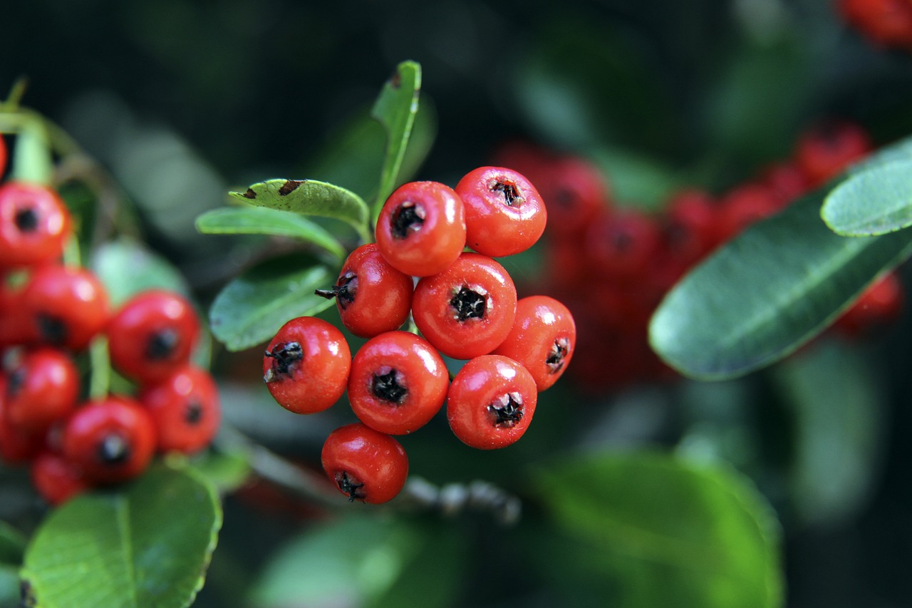 十分认同。齐达内真是被高估太多了[2...7].