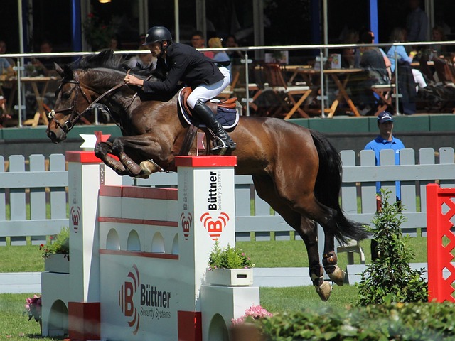 马拉多纳的 马拉多纳的